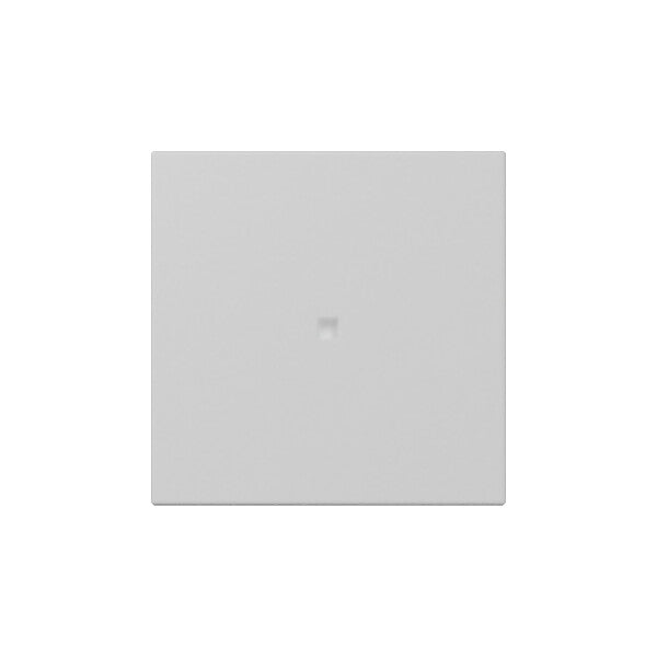 Gira Wippe gerade Kontrollf. Grau m 3490015